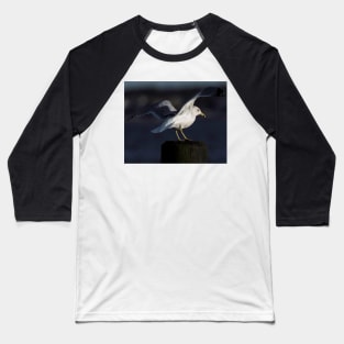 Gull in the Spotlight Baseball T-Shirt